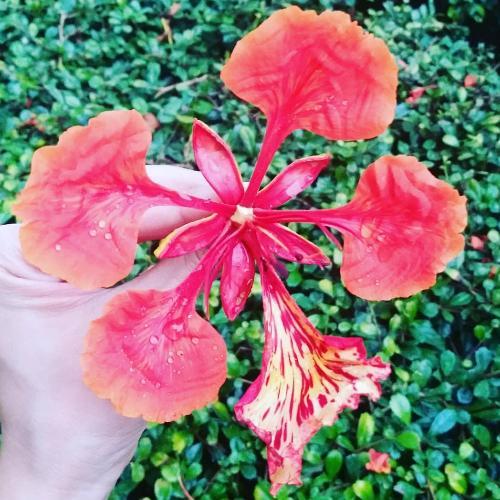 สมาชิกหมายเลข 4948240