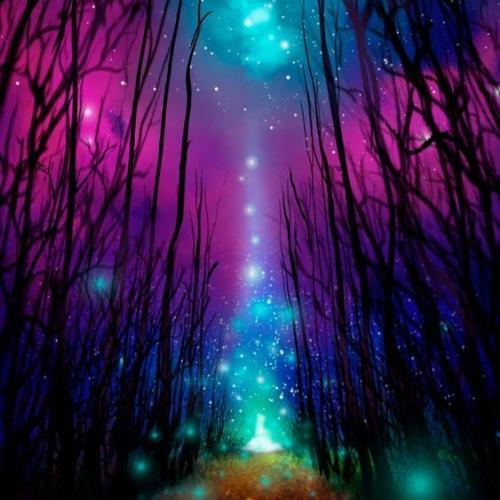 สมาชิกหมายเลข 5288545