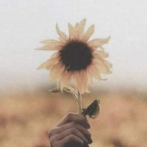 สมาชิกหมายเลข 5733275