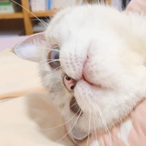 สมาชิกหมายเลข 4530014