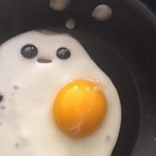 สมาชิกหมายเลข 6304471