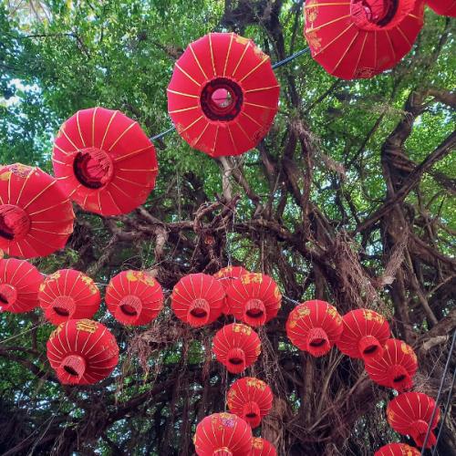 สมาชิกหมายเลข 6321378