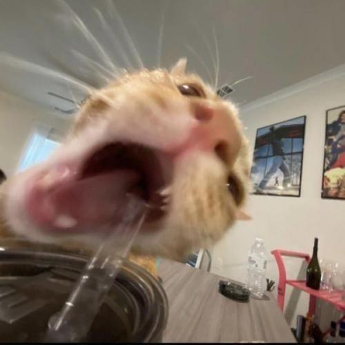 สมาชิกหมายเลข 6407691