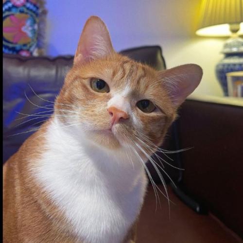 สมาชิกหมายเลข 5457464