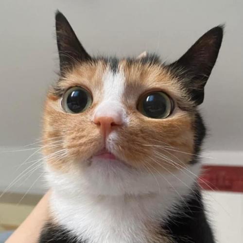 สมาชิกหมายเลข 5659816