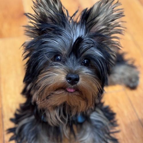 สมาชิกหมายเลข 2789236