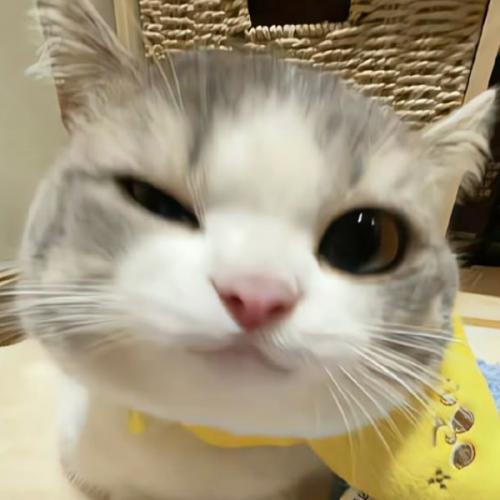 สมาชิกหมายเลข 8735901