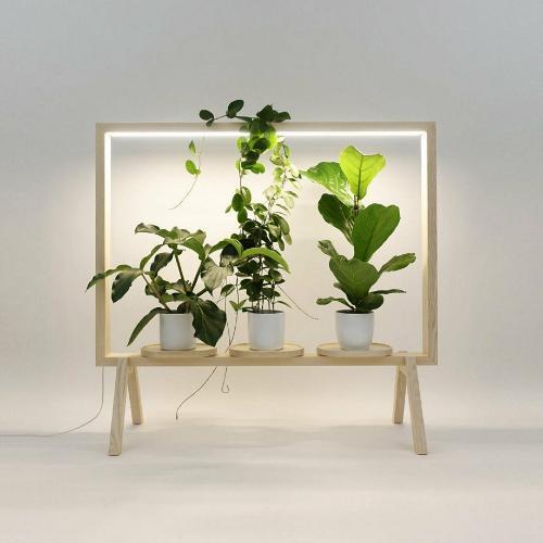 สมาชิกหมายเลข 4548191