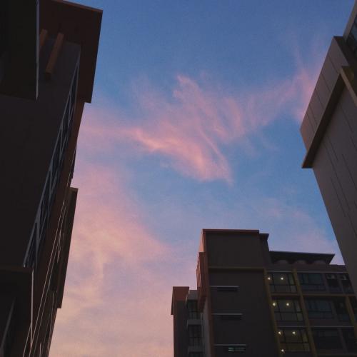 สมาชิกหมายเลข 4903566