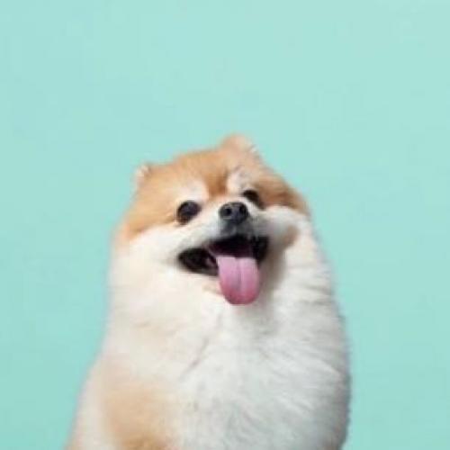 สมาชิกหมายเลข 5288923