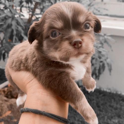 สมาชิกหมายเลข 2921198