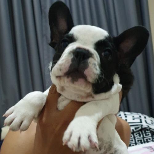 สมาชิกหมายเลข 3049902