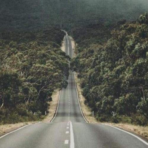 สมาชิกหมายเลข 5739018