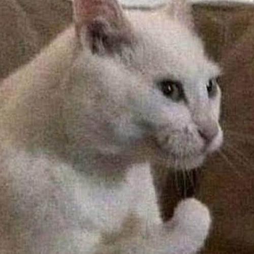 สมาชิกหมายเลข 6325211