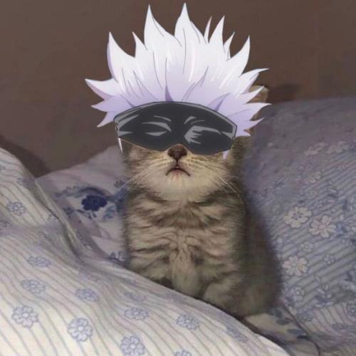 สมาชิกหมายเลข 6385155