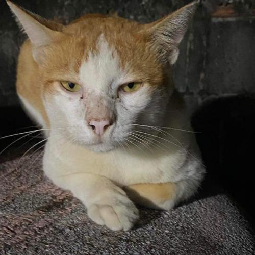 สมาชิกหมายเลข 5139143