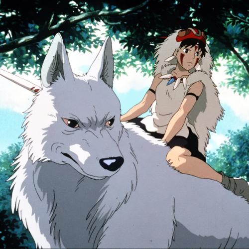 สมาชิกหมายเลข 8699383