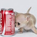 สมาชิกหมายเลข 4129572