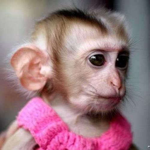 สมาชิกหมายเลข 3461594