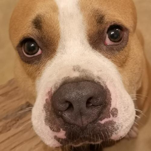 สมาชิกหมายเลข 4827002