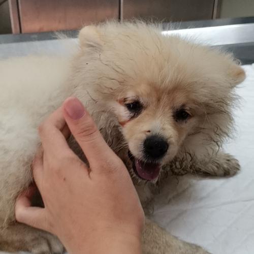 สมาชิกหมายเลข 4414231