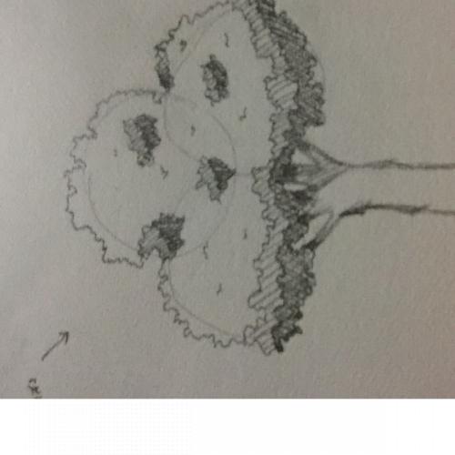 สมาชิกหมายเลข 5219635