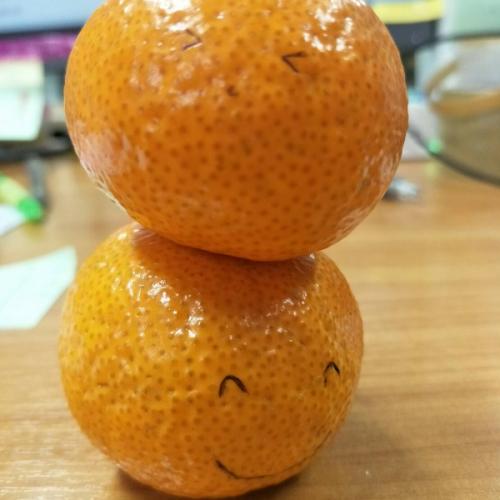 สมาชิกหมายเลข 3255703