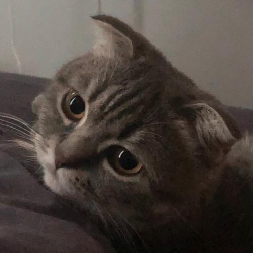 สมาชิกหมายเลข 1967837