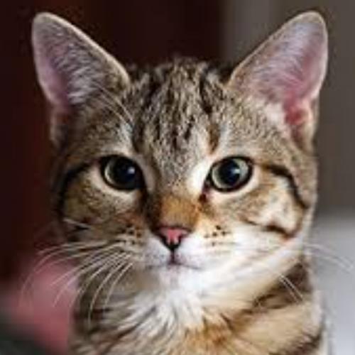 สมาชิกหมายเลข 6325729