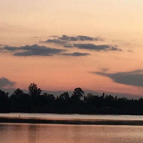 สมาชิกหมายเลข 6889018