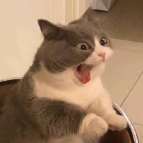 สมาชิกหมายเลข 7006355