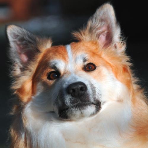 สมาชิกหมายเลข 2829484