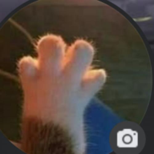 สมาชิกหมายเลข 8737911