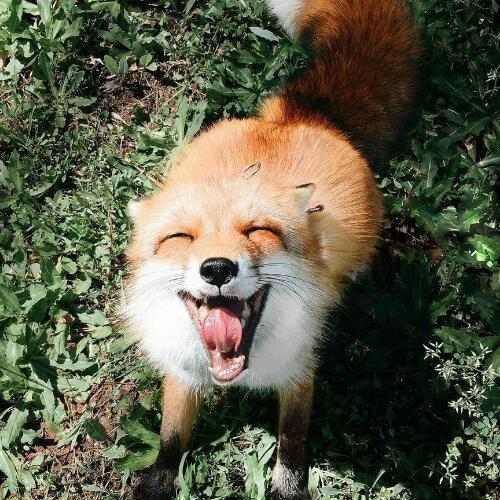 สมาชิกหมายเลข 3486144