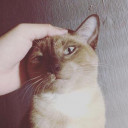 สมาชิกหมายเลข 3854054