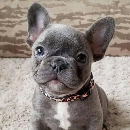 สมาชิกหมายเลข 4893884