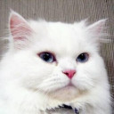 สมาชิกหมายเลข 4490368