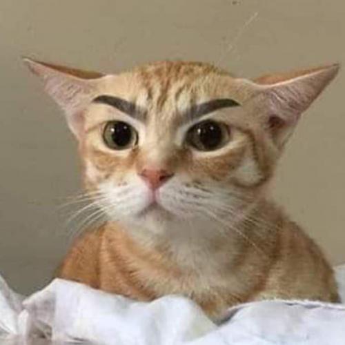 สมาชิกหมายเลข 5740226