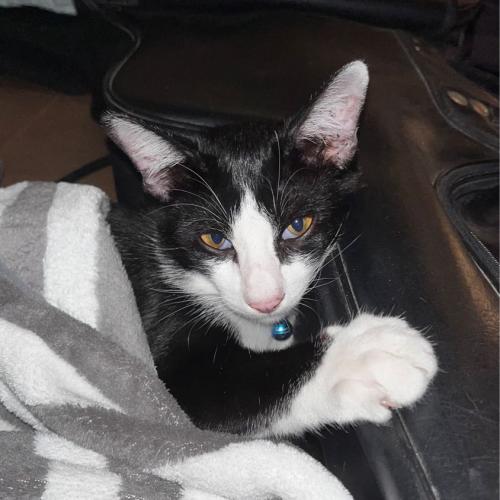 สมาชิกหมายเลข 6007549