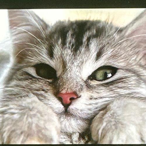 สมาชิกหมายเลข 7773983