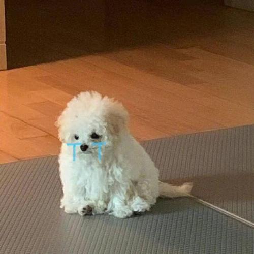 สมาชิกหมายเลข 7774472