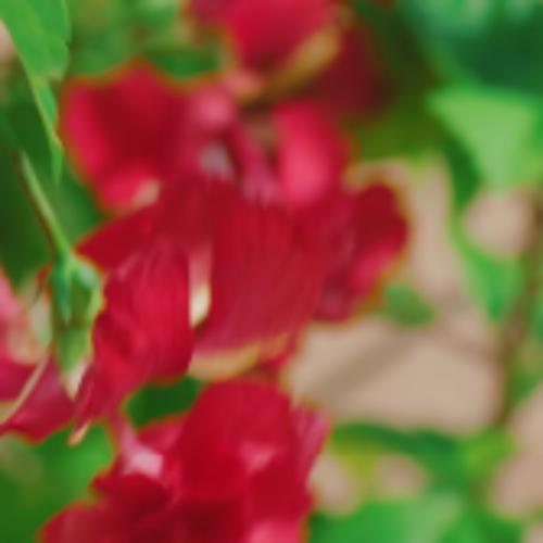 สมาชิกหมายเลข 5896499