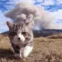 สมาชิกหมายเลข 2522313