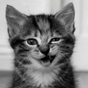 รักแท้แพ้ระยะทาง