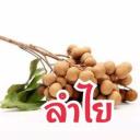 สมาชิกหมายเลข 4046170