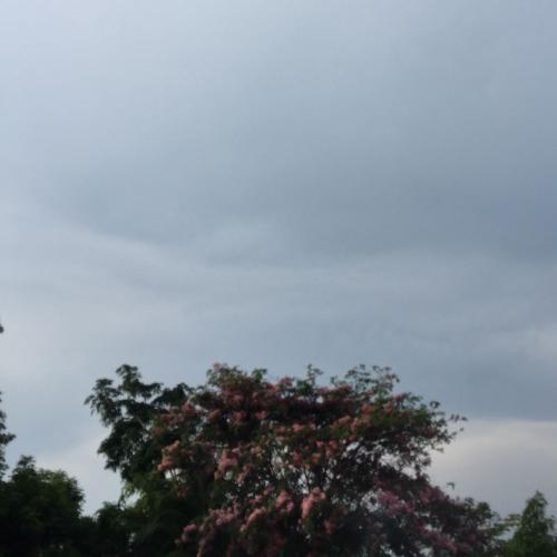 สมาชิกหมายเลข 3328560