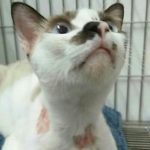 สมาชิกหมายเลข 4552438