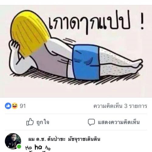 สมาชิกหมายเลข 4553119