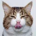 สมาชิกหมายเลข 3774942