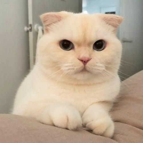 สมาชิกหมายเลข 5289933